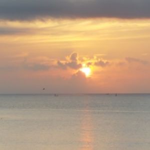 Meet your Posher, Elisa